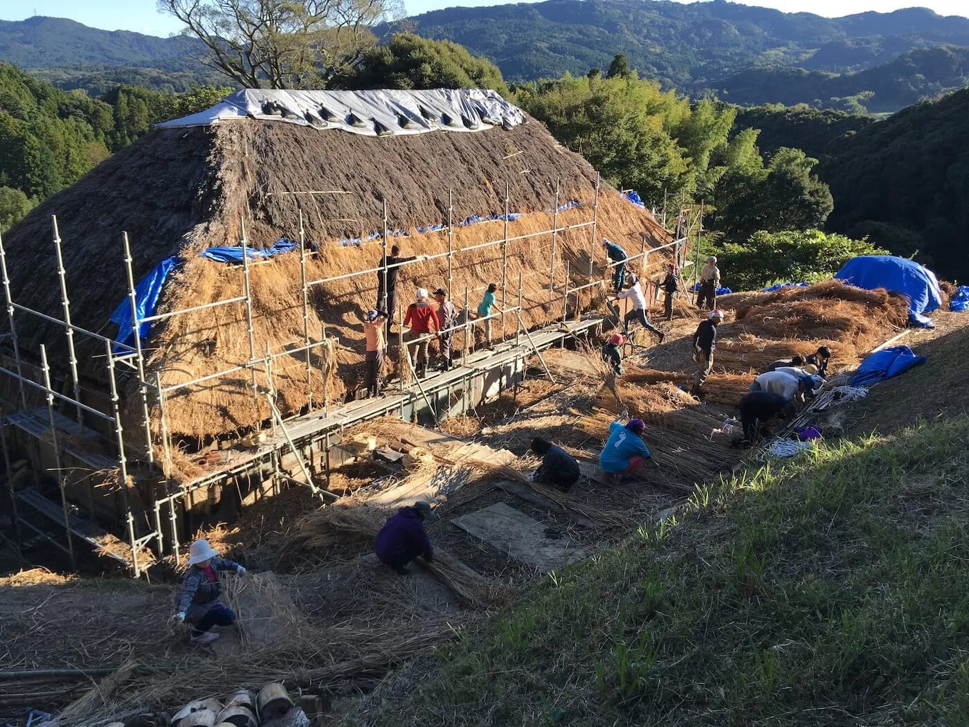 Fn How Is Life Designing For Our Earth 2023 Cl 005